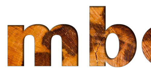 Timber logo
